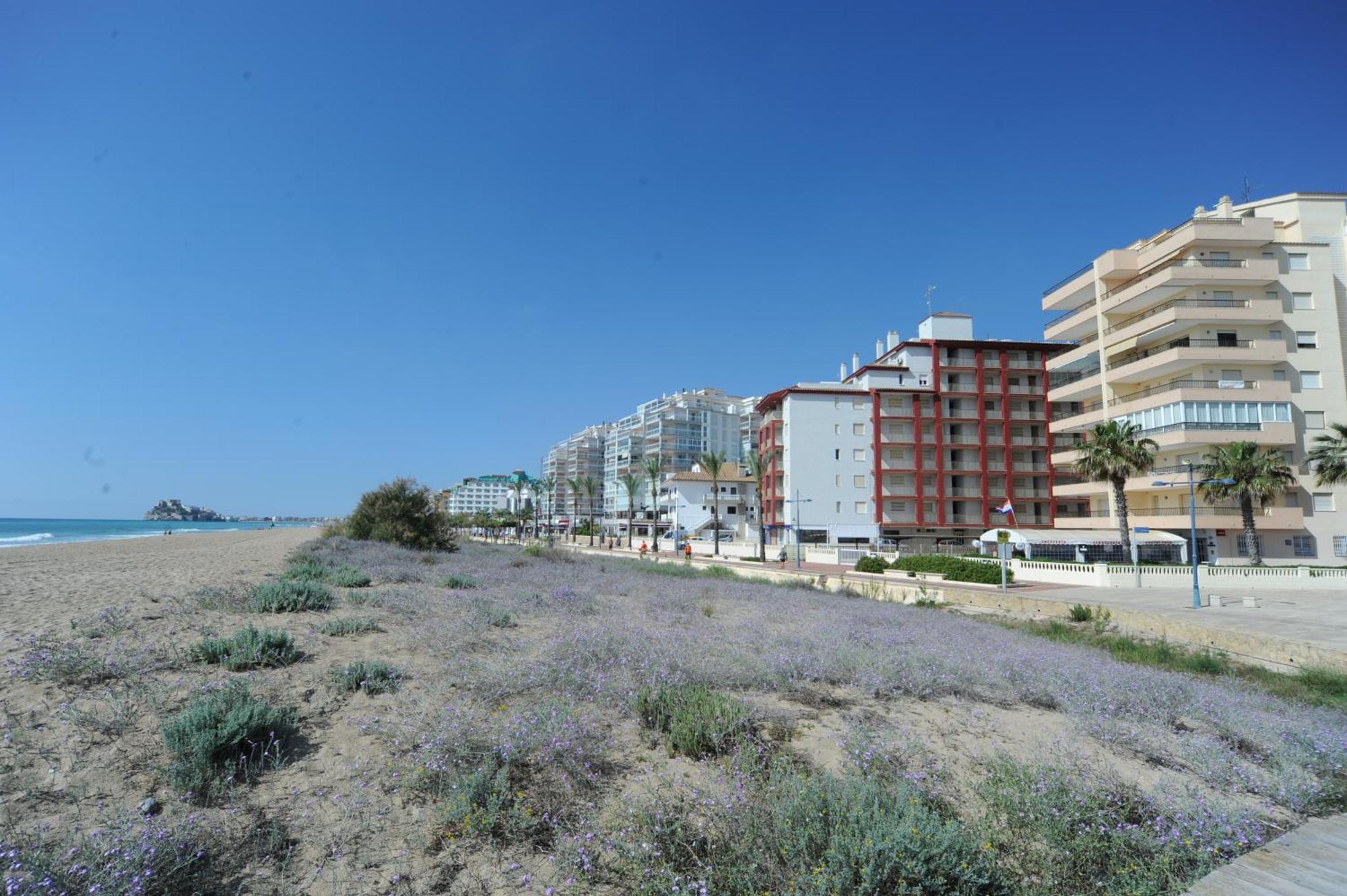 Apartament Marina Vistamar Orangecosta Peñiscola Zewnętrze zdjęcie